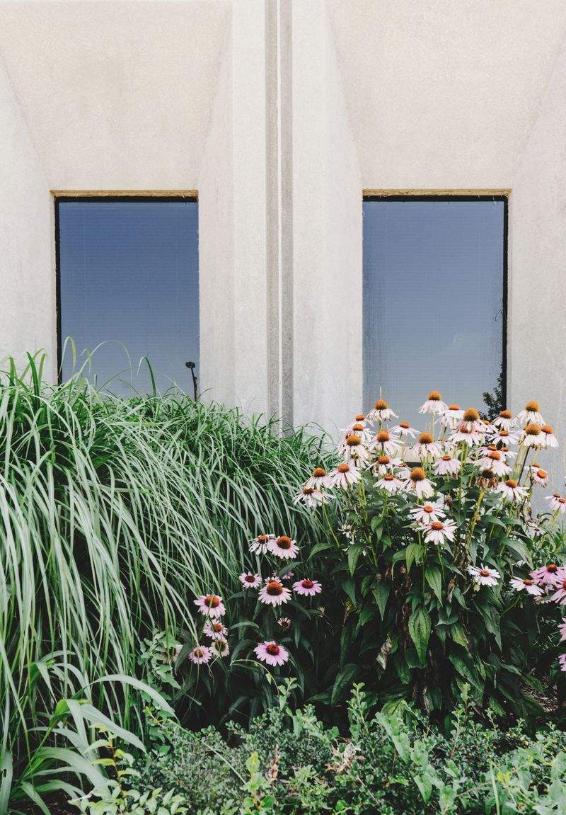 VerdeVivo Jardinería SP
