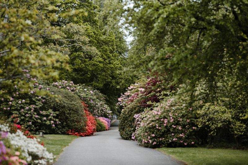 Cómo preparar tu jardín para la primavera