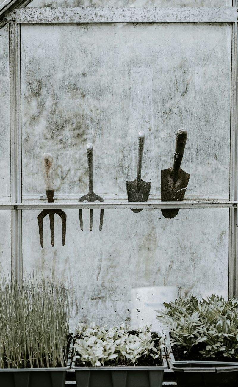 VerdeVivo Jardinería SP 11