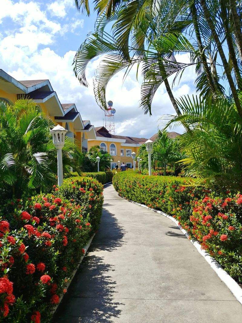 VerdeVivo Jardinería SP 3