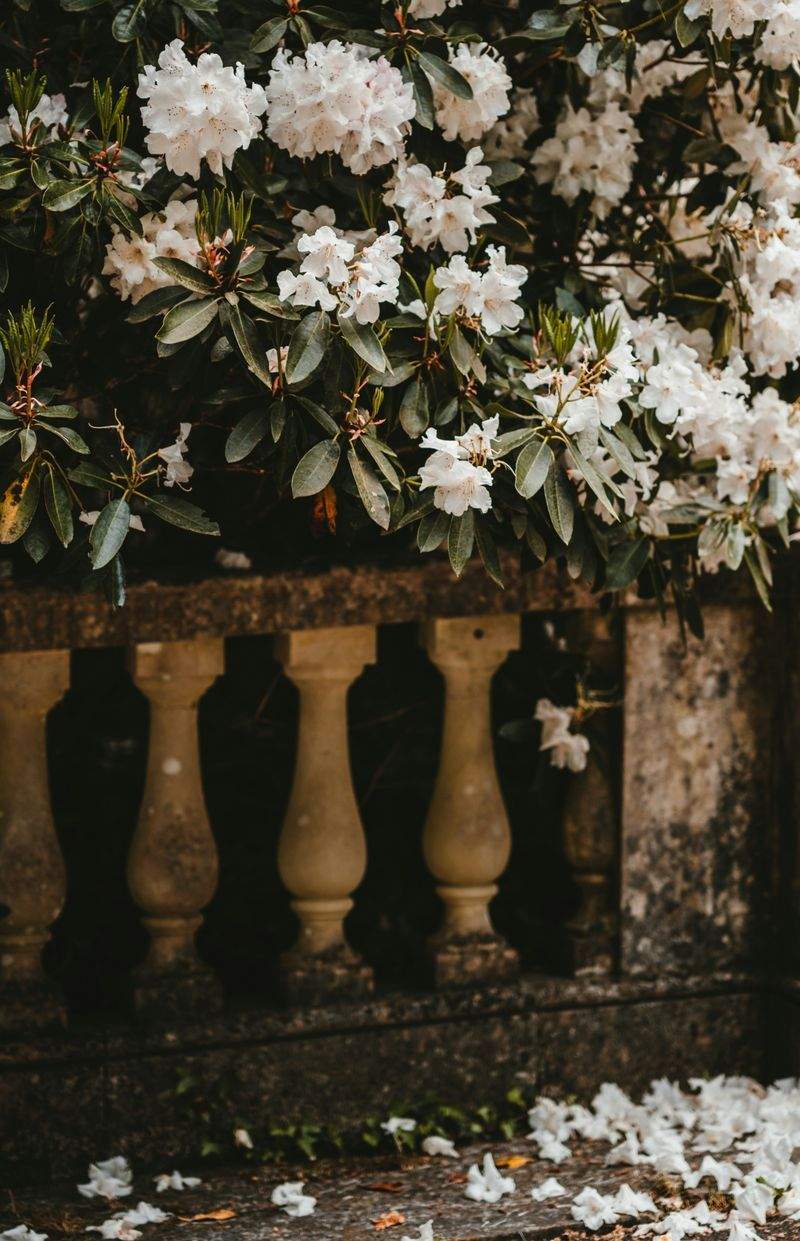 VerdeVivo Jardinería SP 4
