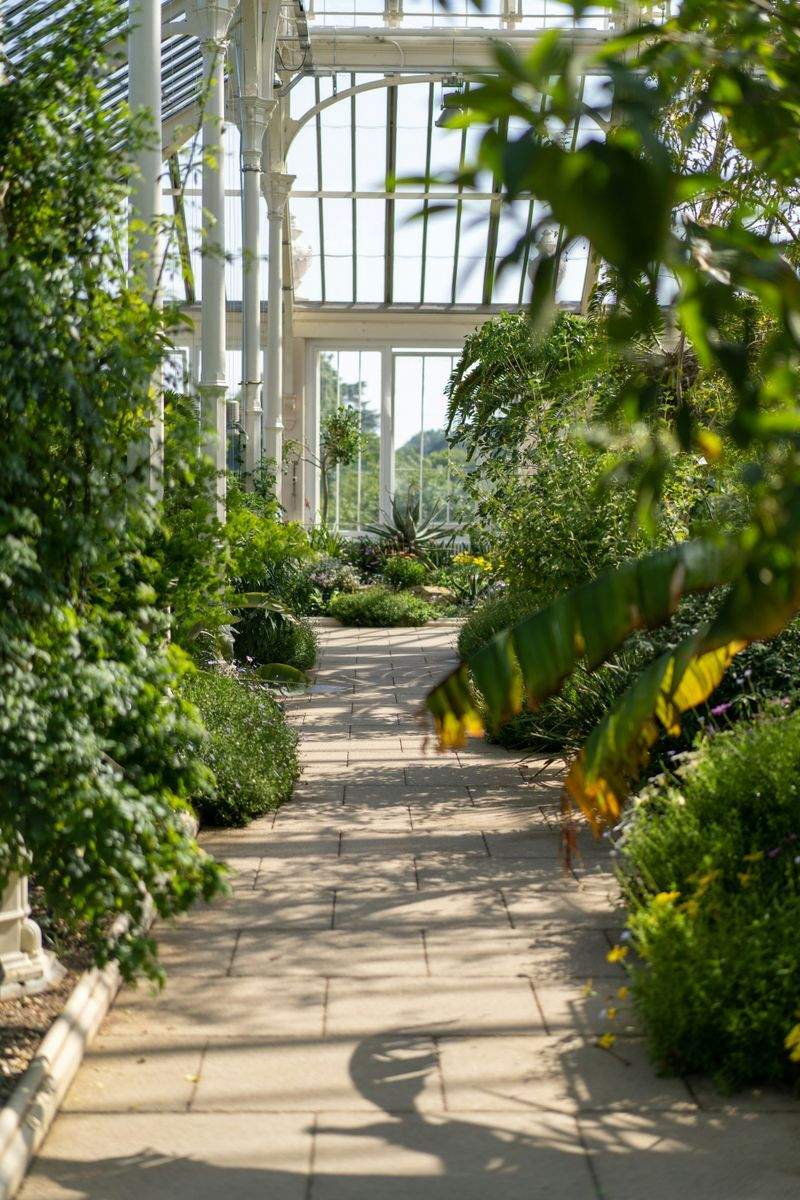 VerdeVivo Jardinería SP 6