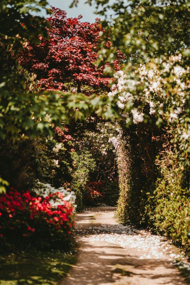 VerdeVivo Jardinería SP 9