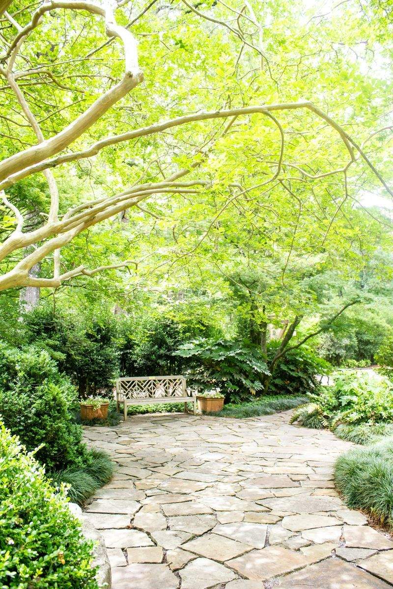 VerdeVivo Jardinería SP