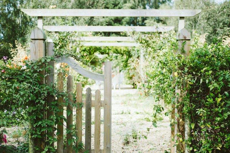 VerdeVivo Jardinería SP