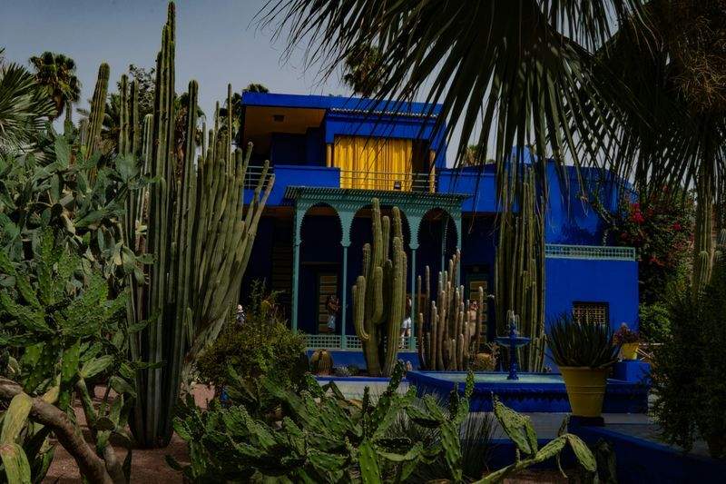 Plantación de flores, césped y especies ornamentales