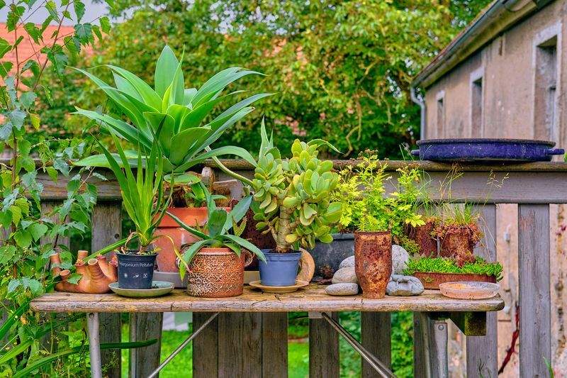Limpieza y revitalización de patios y terrazas